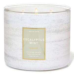 B&BW Eucalyptus Mint 3-Wick Candle